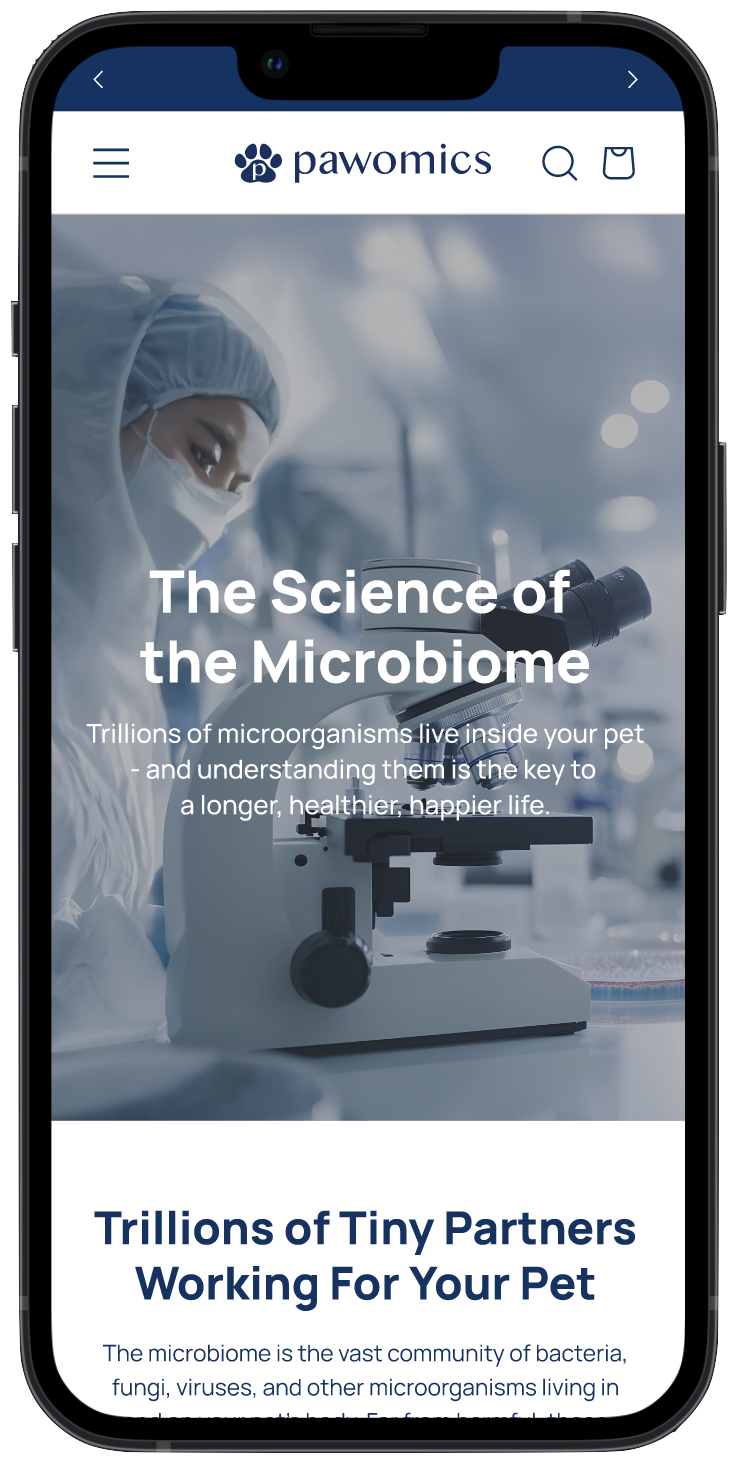 Key page design, mobile — screen 4